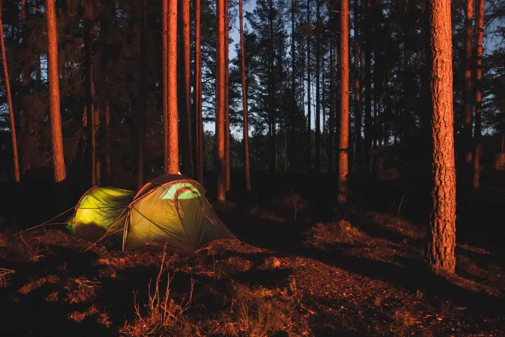 Best-electric-tent-heater