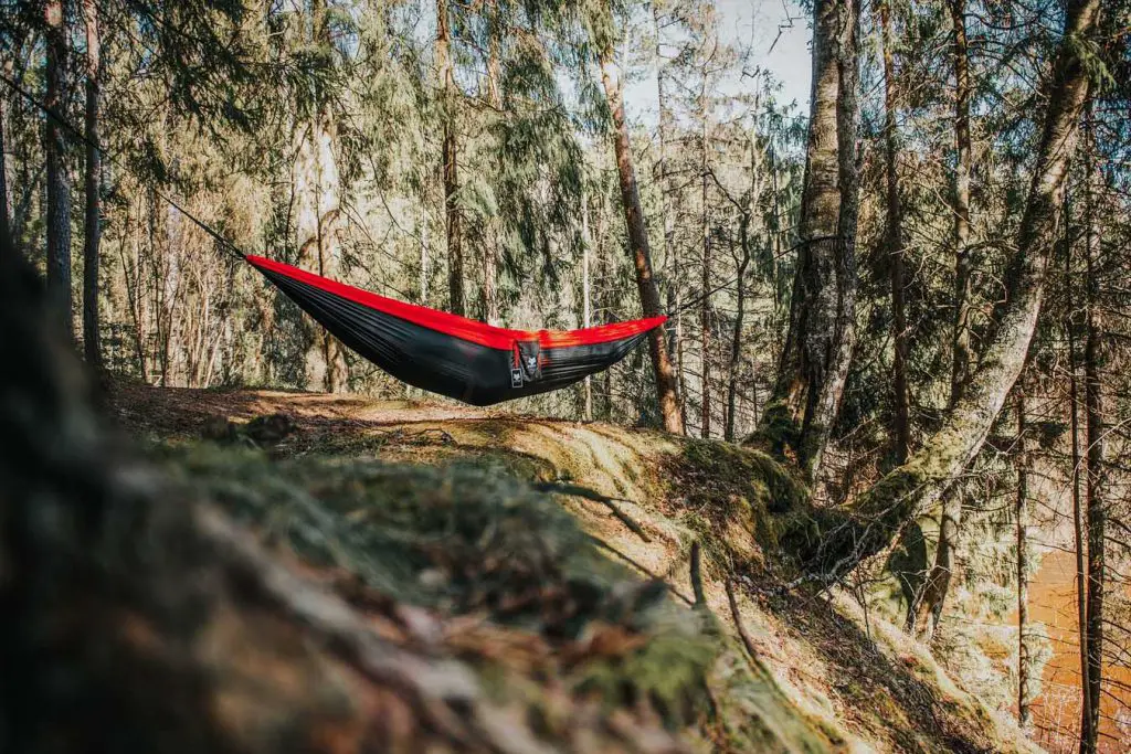 Best shop hammock underquilt