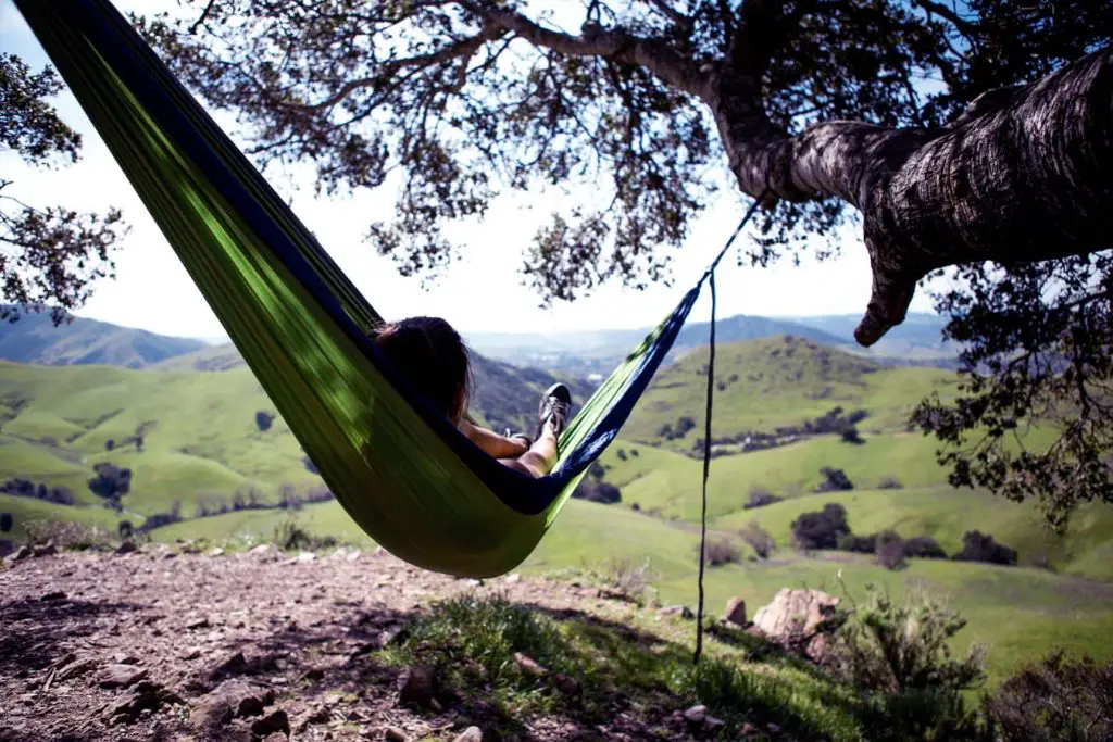 Do hammock straps hurt harm trees