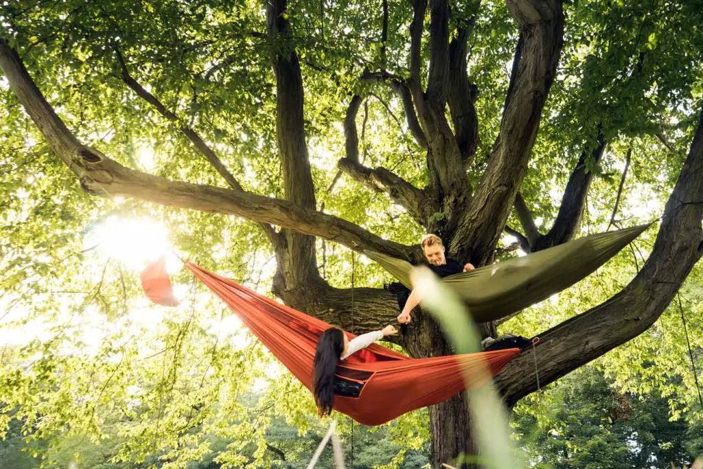 Hammock Tips For First-Time Campers