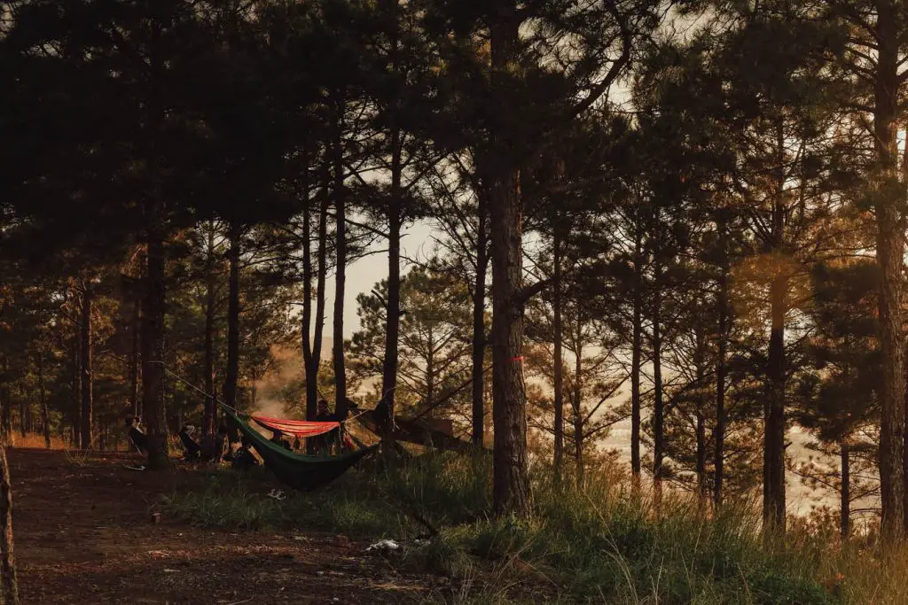 Hammock sleeping