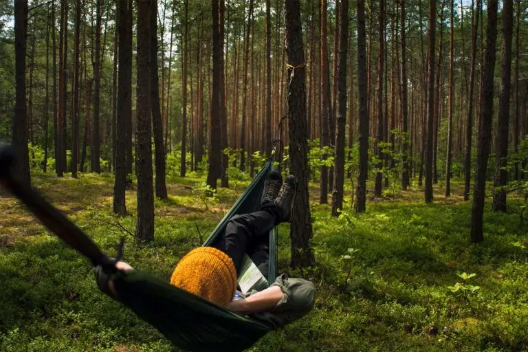 How To Hang Your Hammock Between Two Trees