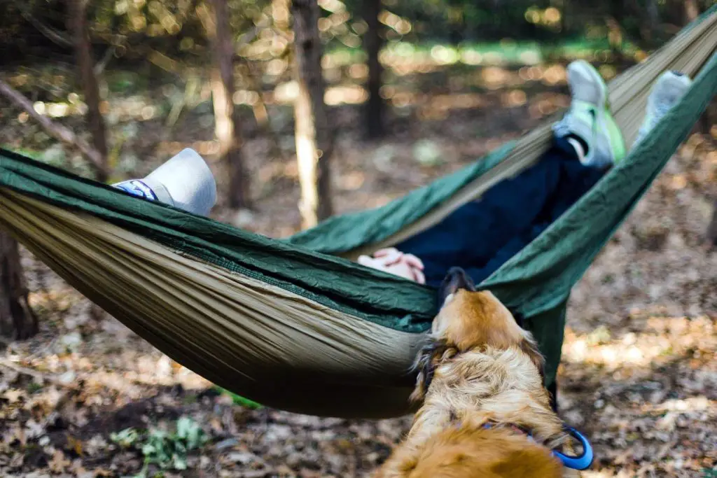 best hammock underquilts