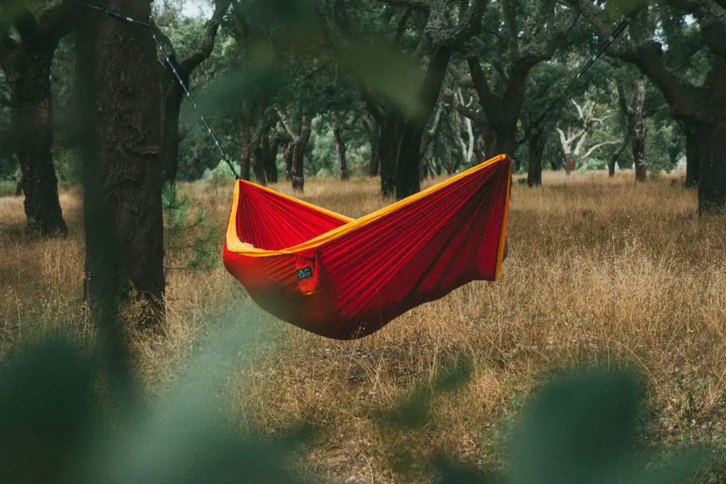 Choosing the best camping hammock