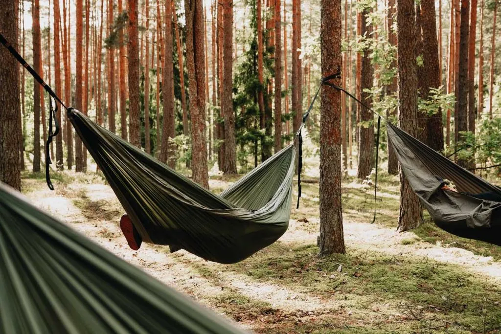 Hanging A Hammock - The Best Distance Between Trees