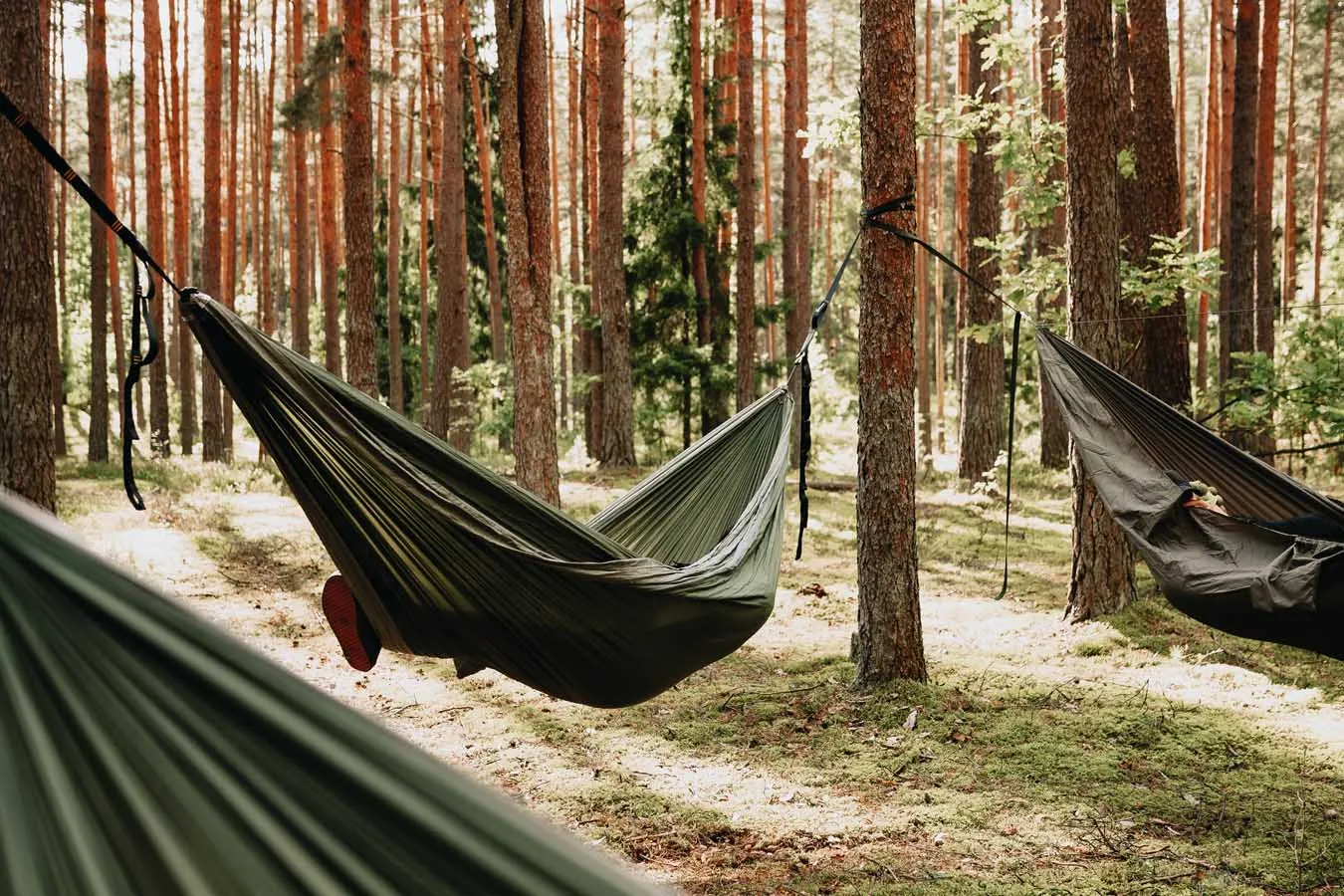Hanging A Hammock The Best Distance Between Trees The Outdoor